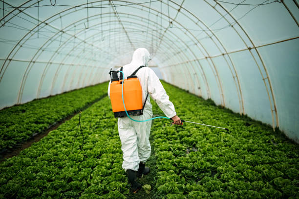 Best Pest Inspection Near Me  in Winter Beach, FL