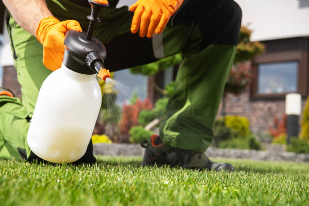 Best Termite Control Services  in Winter Beach, FL