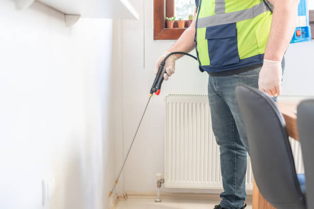 Best Ant Control Services  in Winter Beach, FL