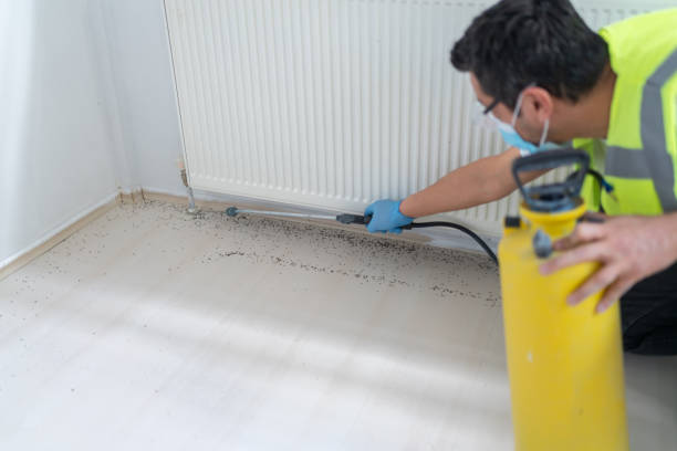 Best Mosquito Control Services  in Winter Beach, FL